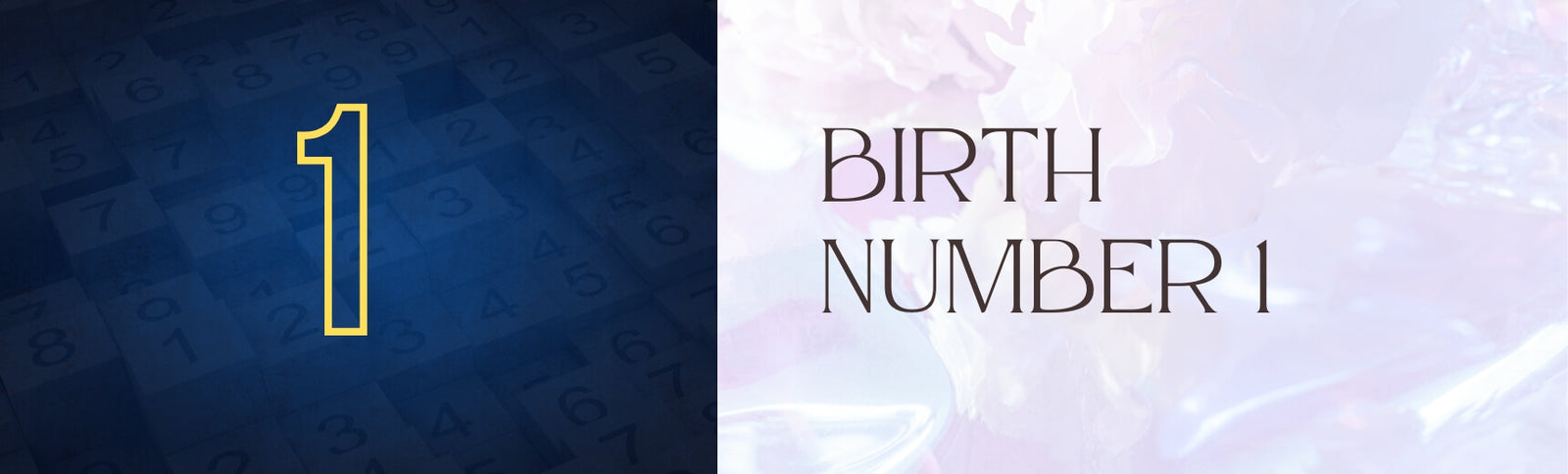 birth number 1 banner image