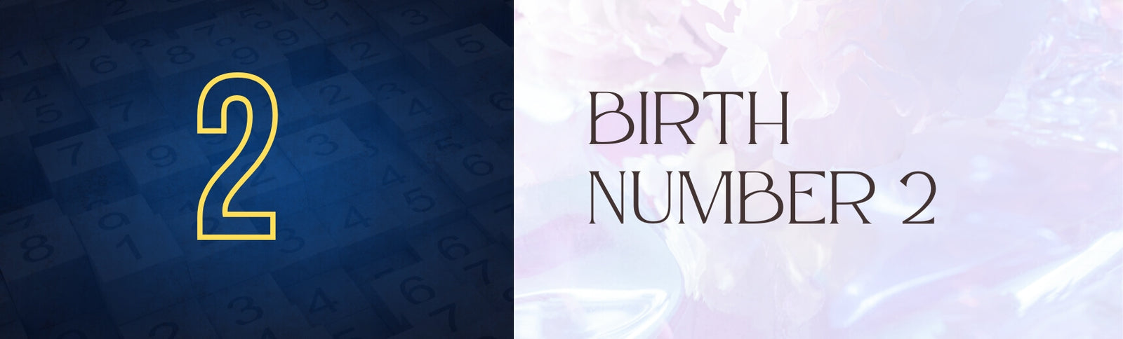 birth number 2 banner image