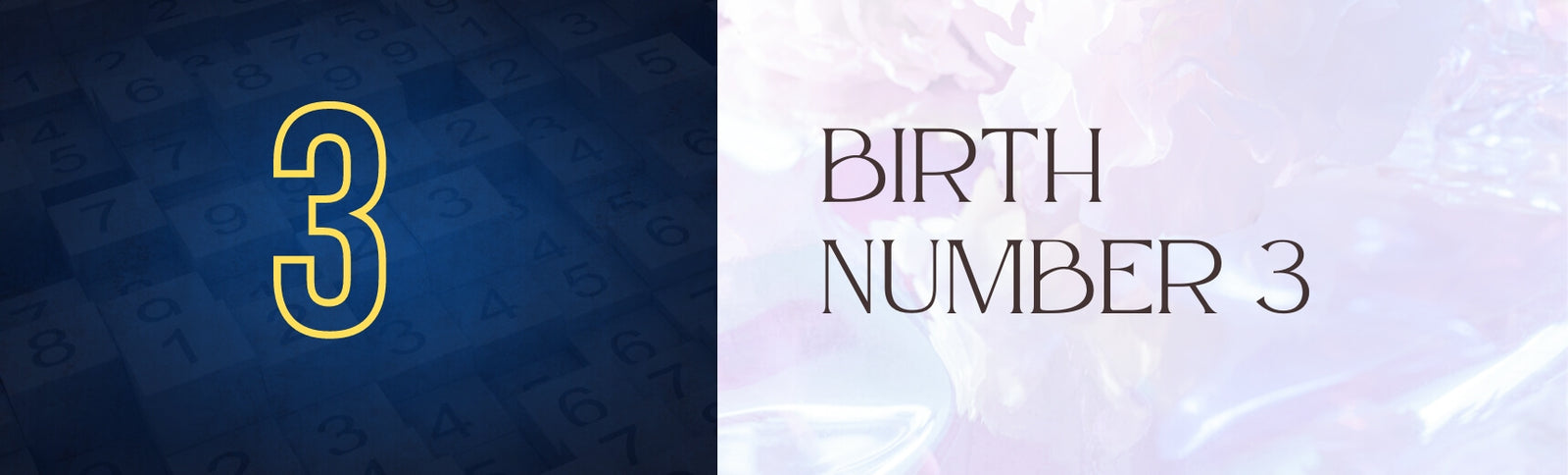 birth number 3 banner image