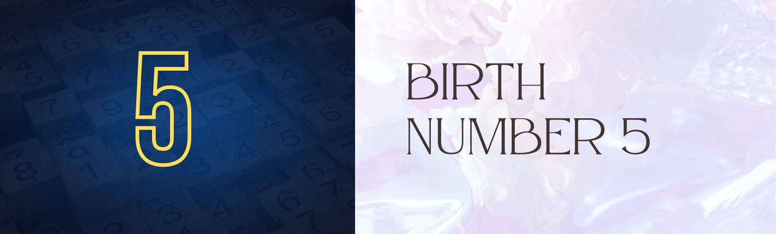 birth number 5 banner image
