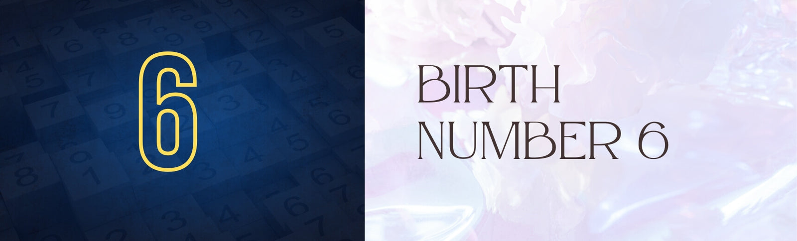 birth number 6 banner image