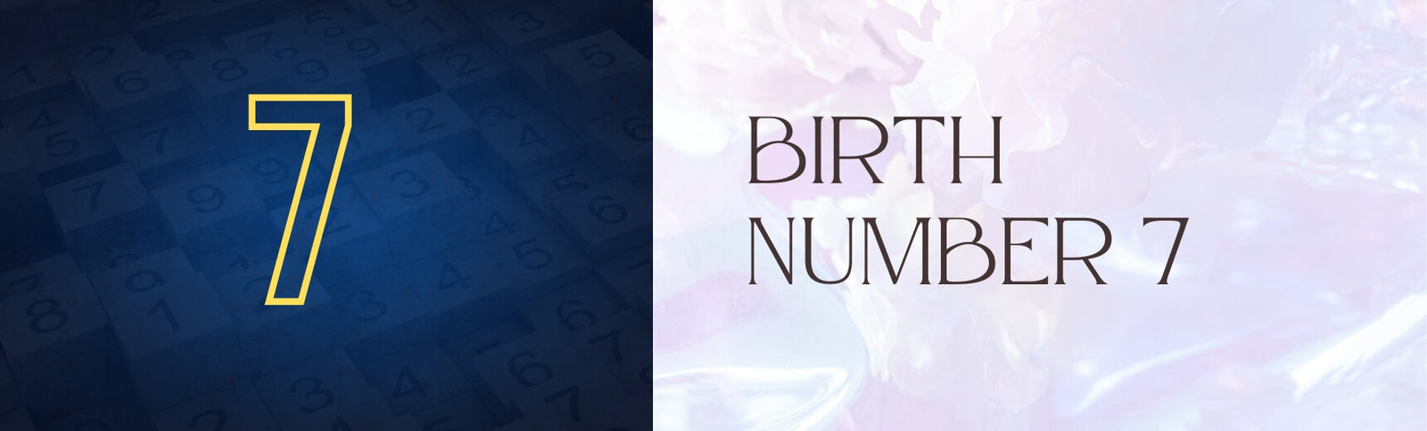 birth number 7 banner image