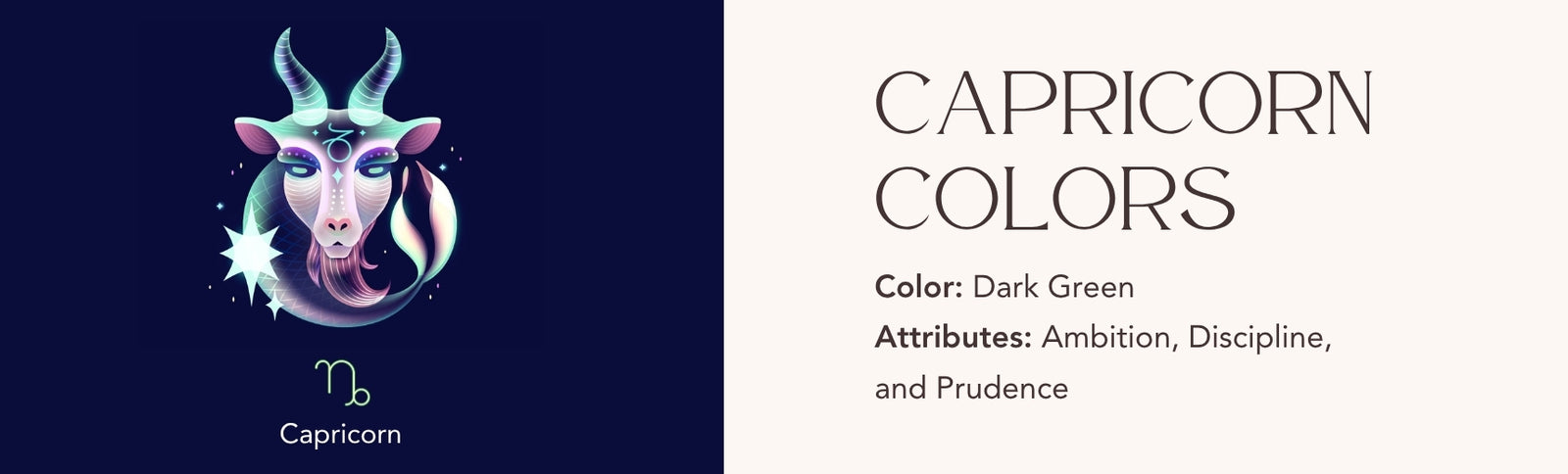 capricorn colors