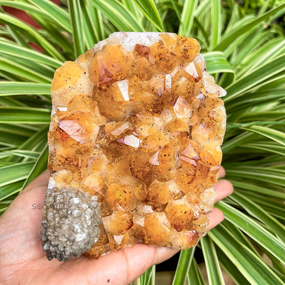Citrine Cluster for Wealth Energy