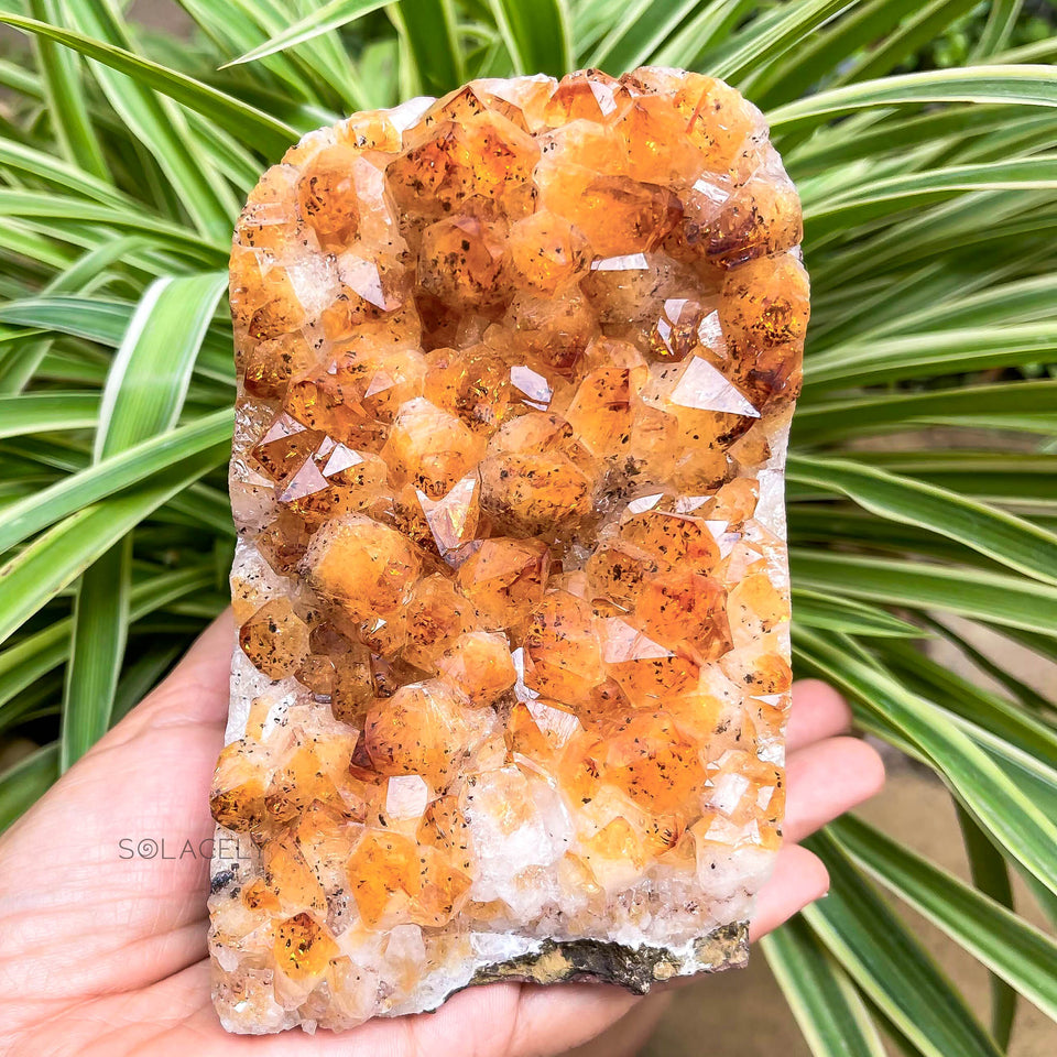 Natural Citrine Geode/Cluster - The Prosperity Stone