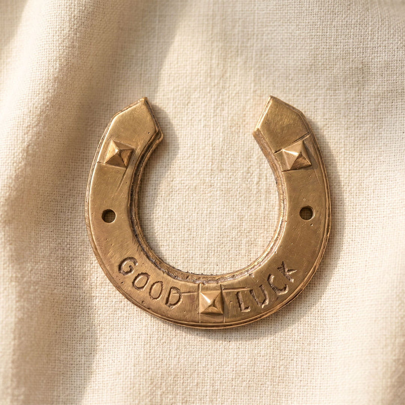 Copper vastu horseshoe decor