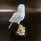 crystal bird 