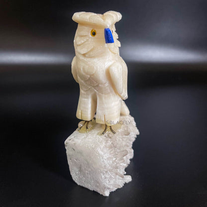 Crystal owl display