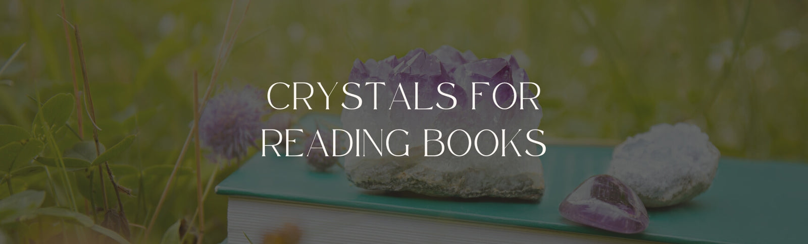 crystals for reading books banner image