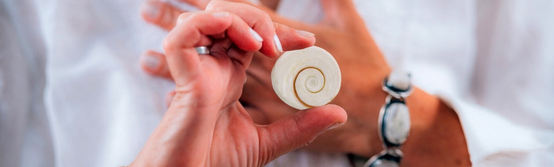 gomti chakra meaning benefits and properties banner image