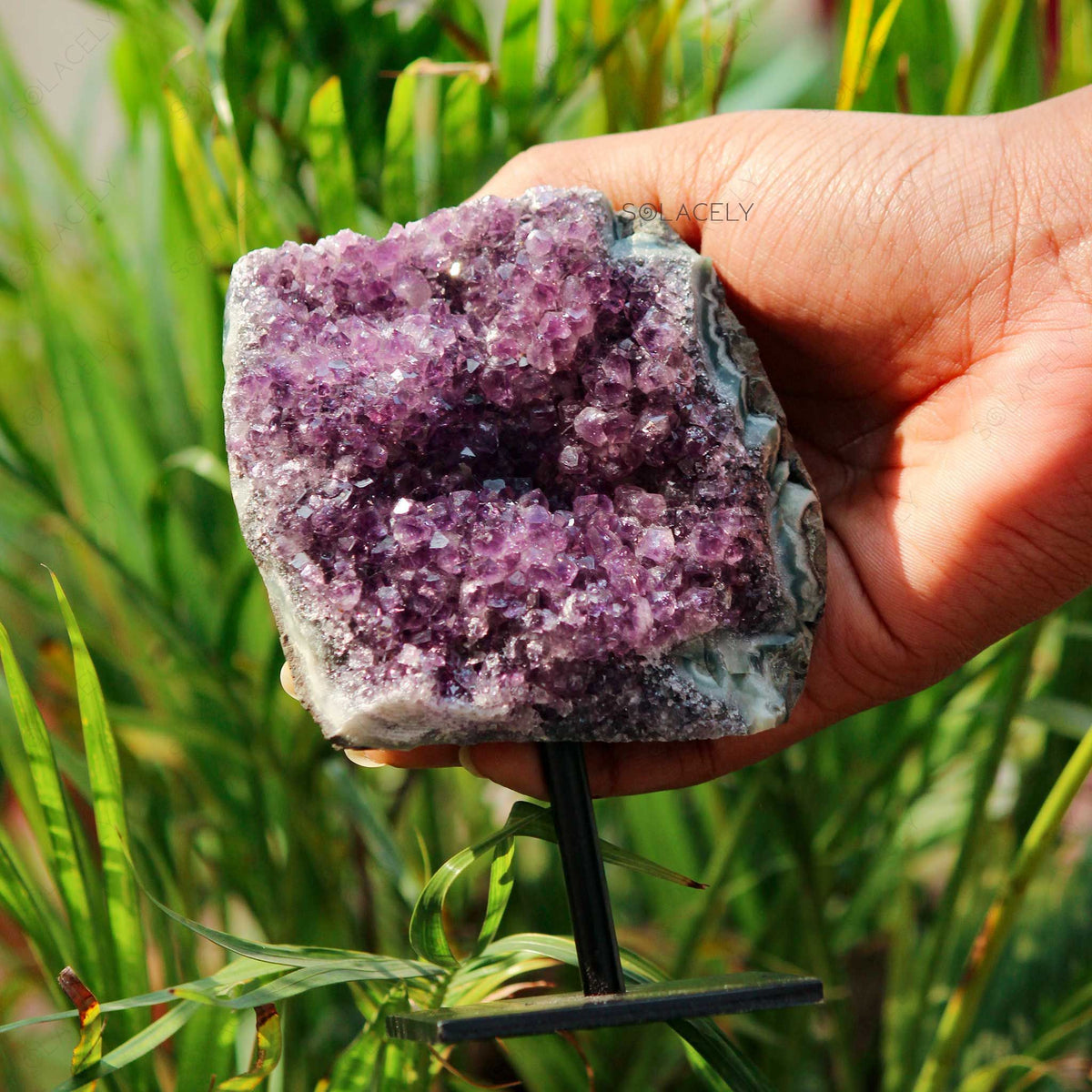 Purple amethyst geode with leafy background