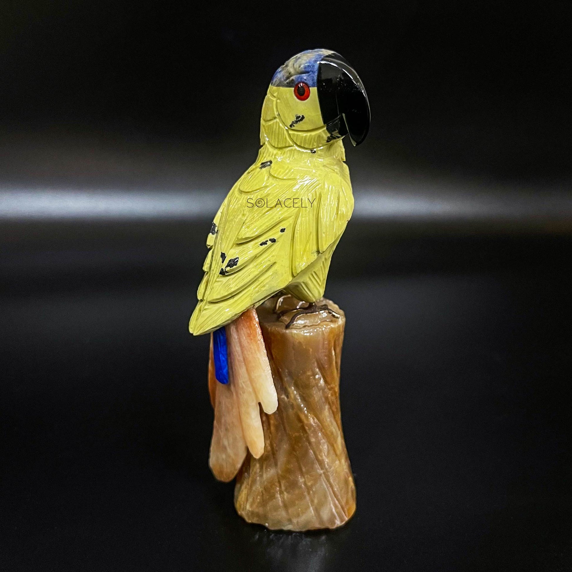 Parrot Bird Healing Crystal