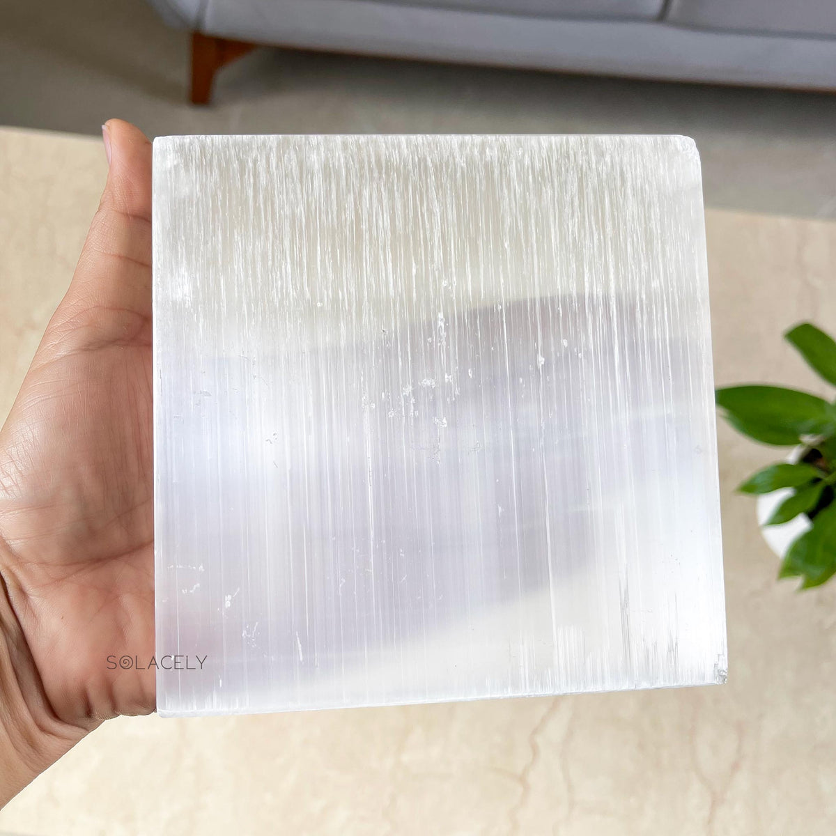 Polished Selenite Energy Plate
