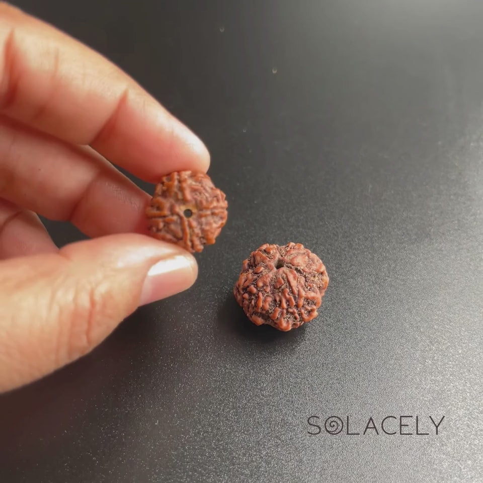 4 Mukhi Rudraksha