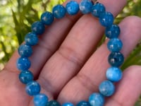 blue apetite bracelet