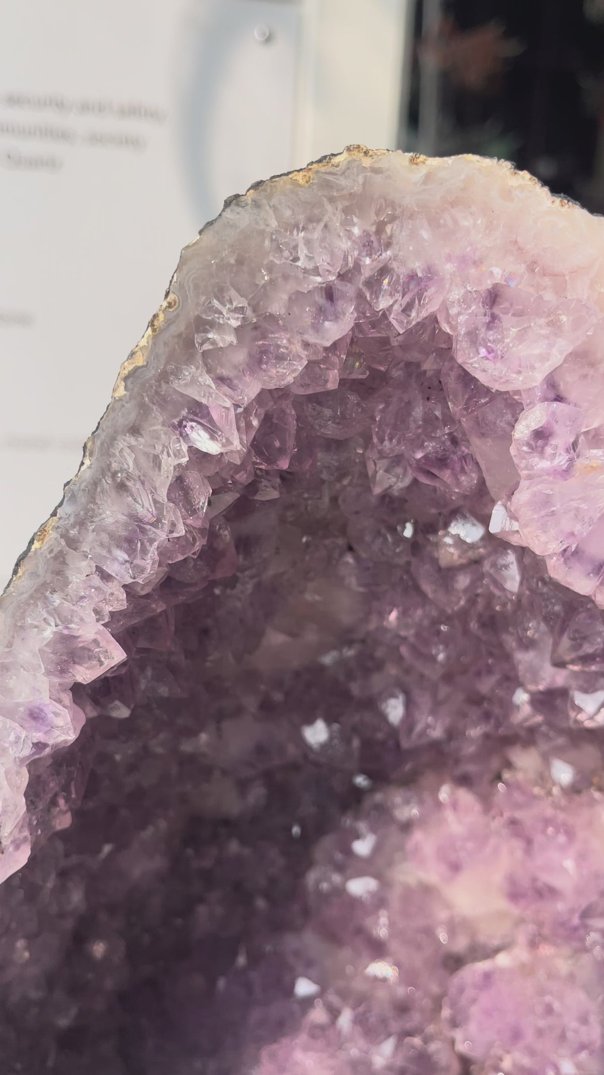 Brazilian Amethyst Geode Cave (11.8 kg)