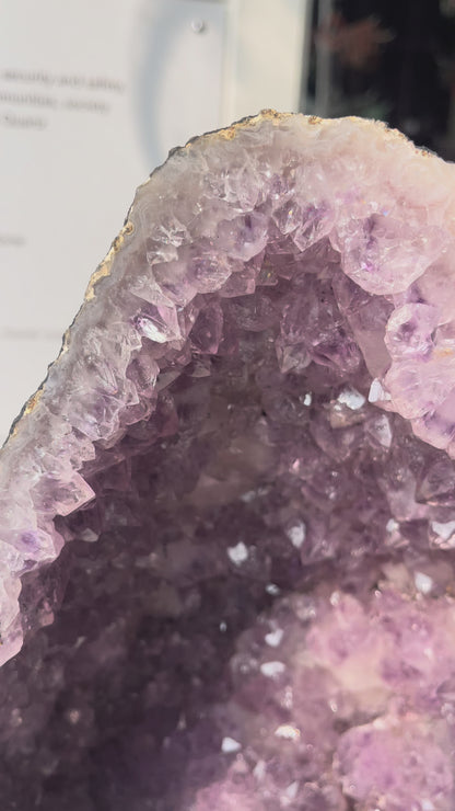 Brazilian Amethyst Geode Cave – 11.8kg