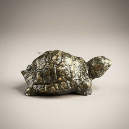 Pyrite tortoise