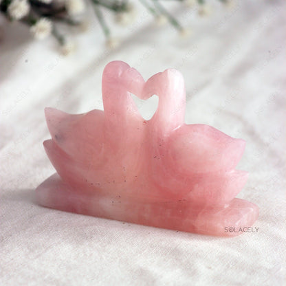 rose ducks