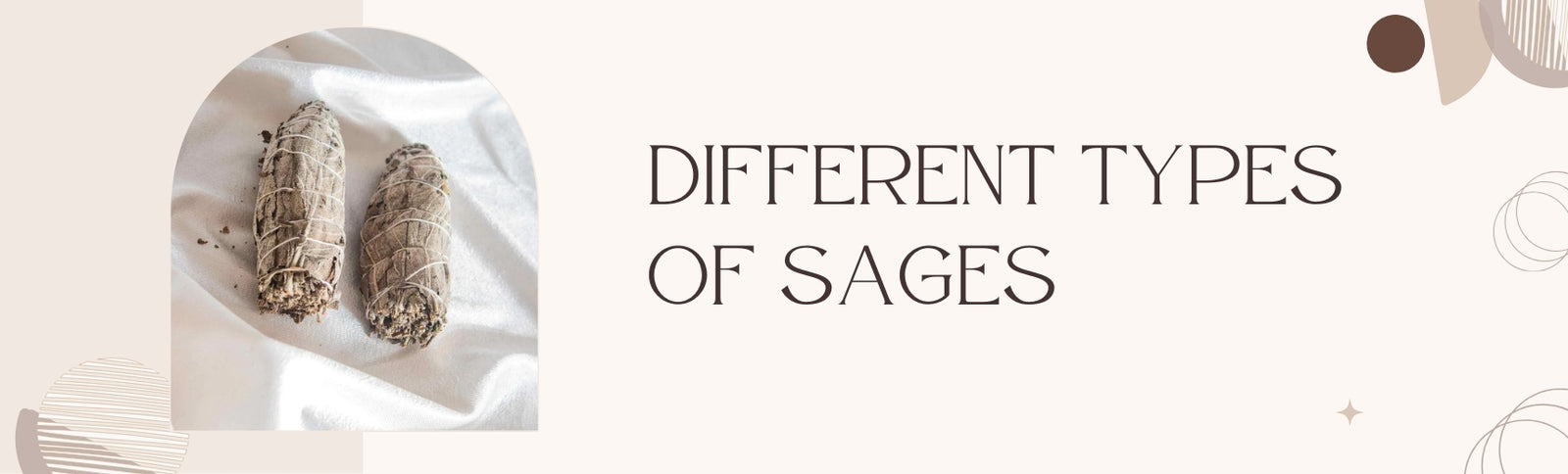 types of sage herb