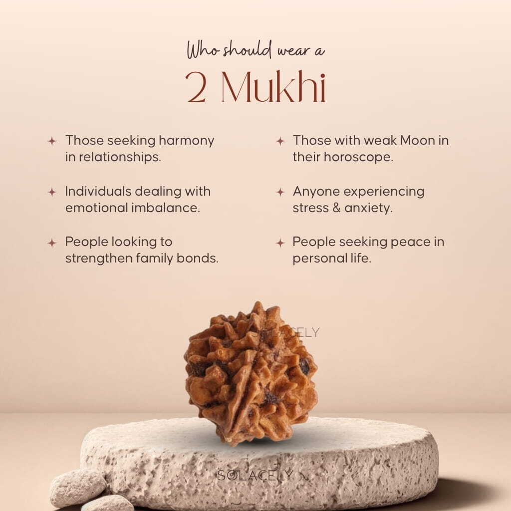 Who should wear 2 Mukhi Rudraksha