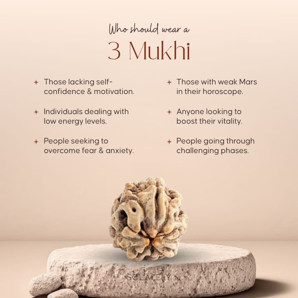 Who should wear 3 Mukhi Rudraksha
