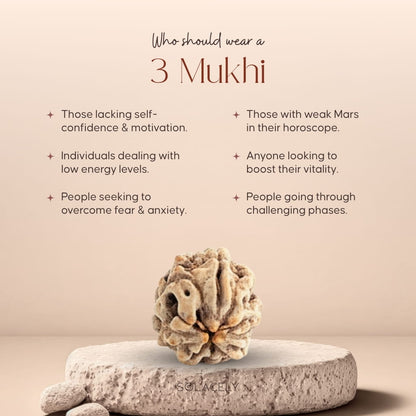Who should wear 3 Mukhi Rudraksha