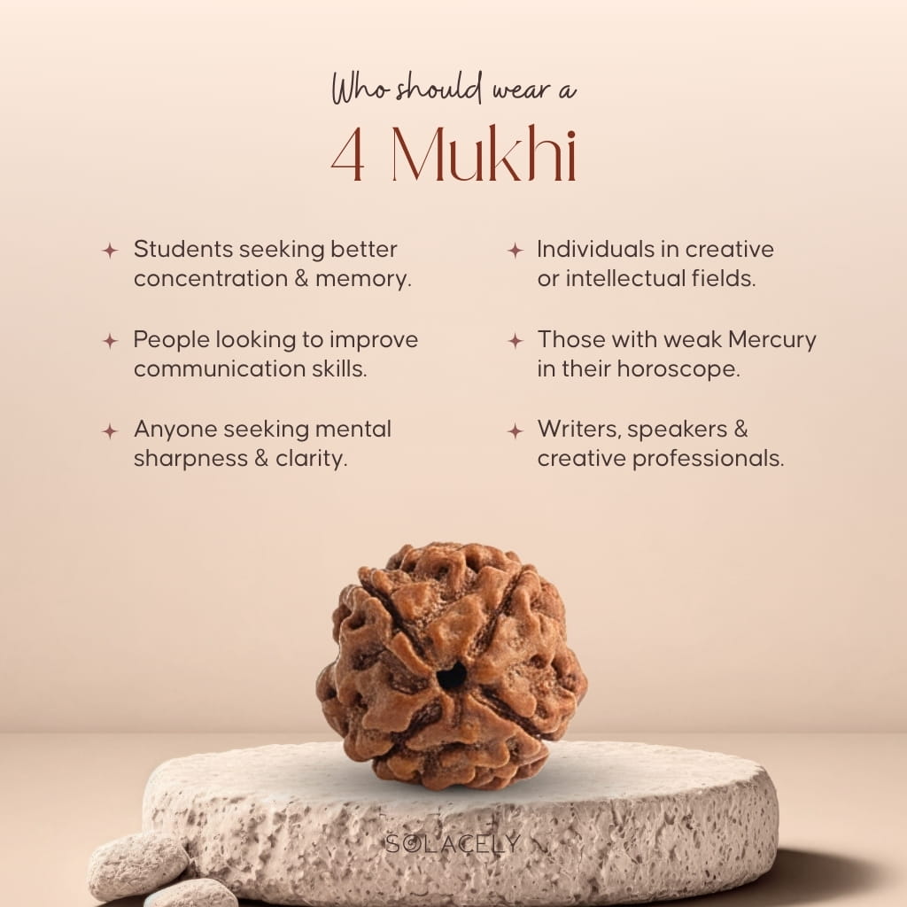 Who should wear 4 Mukhi Rudraksha