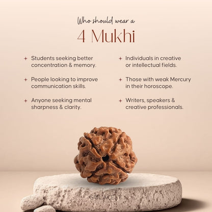 Who should wear 4 Mukhi Rudraksha