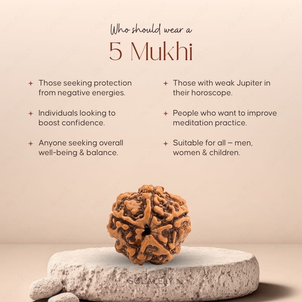 Who should wear 5 Mukhi Rudraksha