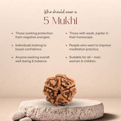 Who should wear 5 Mukhi Rudraksha