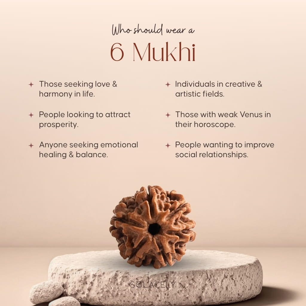 Who should wear 6 Mukhi Rudraksha