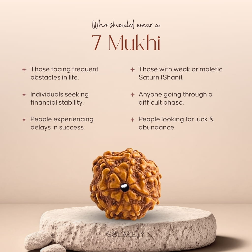 Who should wear 7 Mukhi Rudraksha