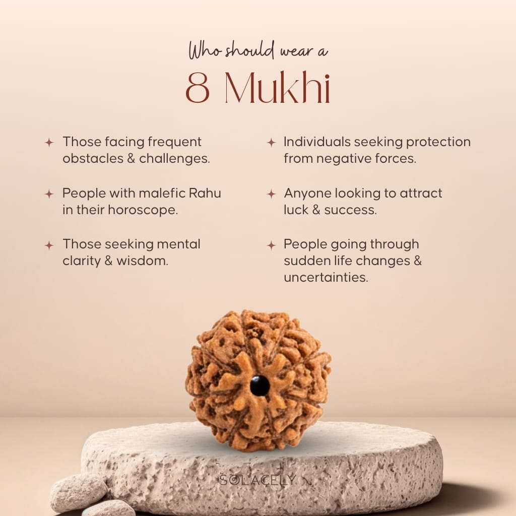 Who should wear 8 Mukhi Rudraksha